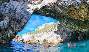 Puerto Vallarta current offer

eco discovery